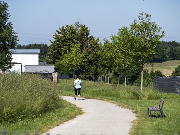 Terrain  - LE DOMAINE DES CHENES