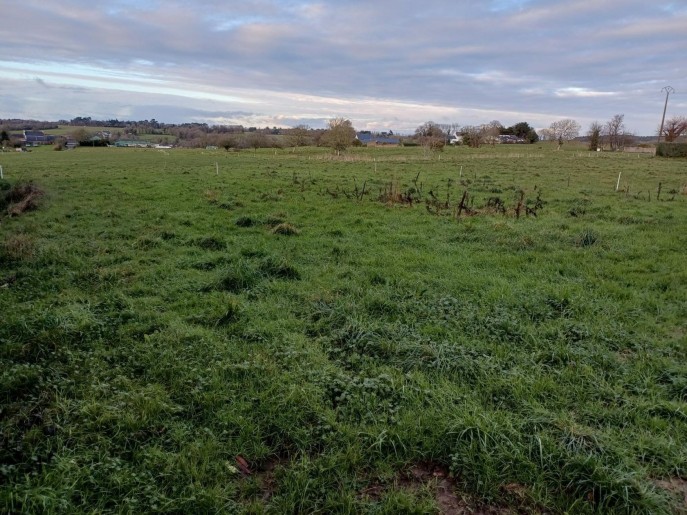 Terrain + Maison neuve de 121&nbsp;m² à Clohars-Carnoët