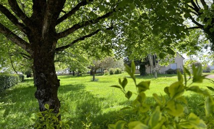 Terrain constructible à vendre à Pléneuf-Val-André